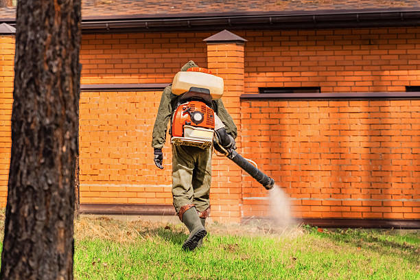 Trusted Rodent Control service in Stamford, CT - Nex Pest Control